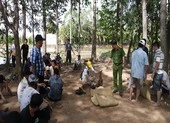 Sới gà chỉ cho người quen chơi ảnh 2 Bắt 36 người tụ tập đá gà ở vườn sao tại TP Long Xuyên