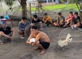 Phá điểm đá gà quy mô lớn ở Trà Vinh ảnh 3 Công an đột kích sới gà vùng ven ngày đầu năm mới