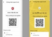Yêu cầu cán bộ, công chức cài VNEID để khai báo di chuyển nội địa ảnh 2 Sở TT&TT TP.HCM tập trung xử lý, cập nhật dữ liệu tiêm vaccine
