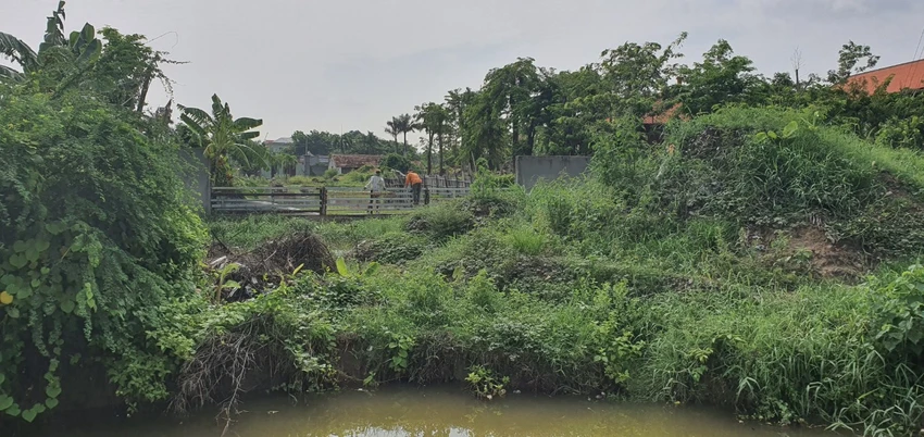 Đã tháo dỡ xong cụm nhà gỗ xây trái phép tại Vũng Tàu ảnh 3 Đã tháo dỡ xong cụm nhà gỗ xây trái phép tại Vũng Tàu ảnh 3