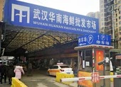 Mỹ-Trung 'chỏi' nhau về điều tra COVID-19 ở Vũ Hán ảnh 2 WHO điều tra khu chợ Vũ Hán, ổ dịch COVID-19 đầu tiên