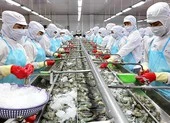 Dịch COVID-19, doanh nghiệp tôn thép Việt vẫn thắng lớn ảnh 1 Chuyện vua thép, vua tôm thoát bị đánh thuế cao