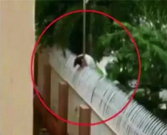 Vượt rào ký túc xá gặp bạn trai, nữ sinh bị điện giật chết ảnh 1 Mô tả ảnh.