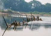 Dân dỡ bỏ 'trận địa' cọc tre chống tàu cát trên sông ảnh 2 Người dân dựng 'trận địa' chống tàu cát trên sông Bồ