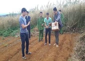 Mua hạt cần sa qua facebook mang trồng tại nhà ảnh 2 Bị bắt giam vì trồng cần sa để…gà ăn nhanh lớn