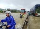 Thừa Thiên – Huế: Cây xanh gãy đè người đi đường ảnh 1 Quảng Trị, Thừa Thiên-Huế: Lũ đang lên, nhiều người mất tích