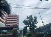 Ngoài hình sự, BN 1342 còn đối diện bồi thường thiệt hại ảnh 2 Vụ BN 1342: Vietnam Airlines chính thức lên tiếng xin lỗi