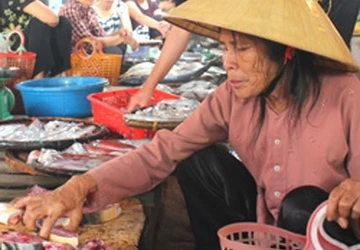Người già ngày càng ít sống với con cháu ảnh 1 Người già ngày càng ít sống với con cháu ảnh 1