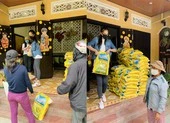 Tiểu Vy khoe sắc trong tà áo dài tết, sẵn sàng chào xuân 2021 ảnh 12 Hoa hậu Tiểu Vy trao tặng 1.000kg gạo cho người nghèo ở Hội An