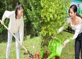 Mister Vietnam Minh Quyền ngồi ghế giám khảo 'Miss Fitness Vietnam' ảnh 6 Dàn mỹ nhân Miss Earth Việt Nam trang phục giản đi trồng cây