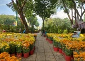 Đeo khẩu trang, xếp hàng, chụp ảnh đường hoa thời COVID-19 ảnh 8 TPHCM vận động người dân mua hoa ủng hộ tiểu thương đón tết