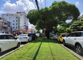 Từ tố cáo của nữ tài xế, triệt đường dây nhập cảnh trái phép ảnh 3 Xe nằm bãi, tài xế đồng lòng cùng TP.HCM chống dịch
