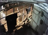 Hai tháng, bị tạt sơn 6 lần vì món nợ 30 triệu của em trai ảnh 5 Chết rồi mà nhà vẫn bị nhiều người tới đòi nợ, tạt sơn