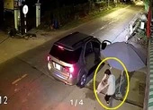 Đàn khỉ ‘đại náo’ ở quận 12 giờ ra sao? ảnh 4 Camera ghi cảnh nhóm đi ô tô trộm chó ở Củ Chi