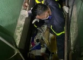 TP.HCM: Cảnh sát kinh tế bắt lô thuốc trị COVID-19 chưa được cấp phép ảnh 2 Thang máy khách sạn rơi tự do, cô gái 27 tuổi trọng thương