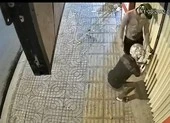 Tái diễn nạn đi trộm chó bằng ô tô ở vùng ven TP.HCM ảnh 3 Kẻ trộm cắt khóa, đột nhập cửa hàng điện thoại ở quận Bình Tân