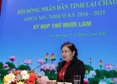 Thủ tướng phê chuẩn nhân sự ở Đà Nẵng, Tiền Giang... ảnh 1 Trong tuần, nhiều tỉnh, thành phố bầu lãnh đạo HĐND và UBND