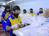 Ngư dân Quảng Bình tặng 500 kg cá cho người dân TP.HCM ảnh 2 Nhiều hoạt động hỗ trợ lao động gặp khó khăn