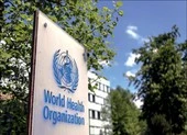 Chuyên gia: Mũi tăng cường vaccine mRNA giúp tăng khả năng chống lại Omicron ảnh 2 WHO: Omicron khiến người tiêm rồi vẫn nhiễm, người đã khỏi bệnh cũng tái nhiễm