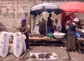 CDC Mỹ cảnh báo ‘mối đe dọa toàn cầu’ đến từ bệnh nấm ảnh 3 Truy tìm 'Bệnh X' lây nhanh như COVID-19, nguy hiểm như Ebola