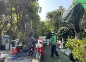 Bán cành đào tết, sàn thương mại điện tử chạy đua giao trong 2 giờ ảnh 2 Nhà vườn nhộn nhịp lên mạng bán hoa tết, ship tận cửa
