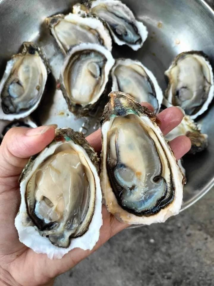 những người không nên ăn hàu