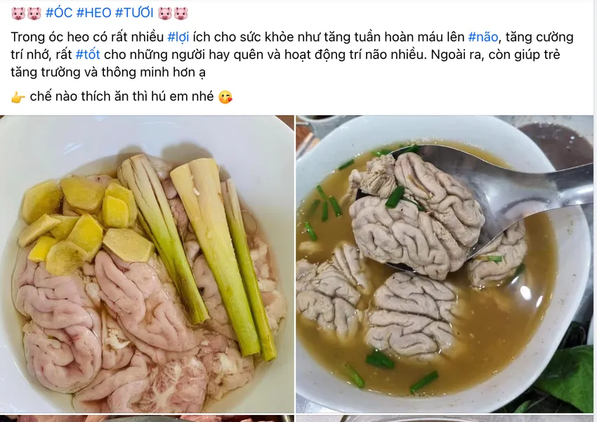 Óc heo và tủy heo thường được dân gian truyền miệng là có nhiều tác dụng tốt cho sức khỏe. Ảnh: HẠ QUYÊN ảnh 1 óc heo tủy heo