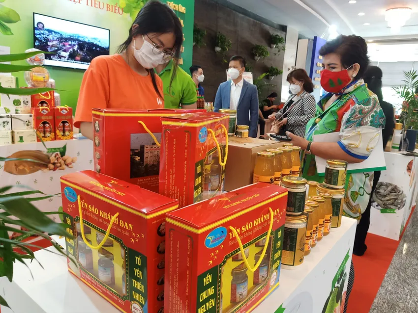 Dù làm cùng một công việc nhưng lương nữ giới vẫn thấp hơn nam giới. Ảnh minh họa về lao động nữ: THU HÀ Dù làm cùng một công việc nhưng lương nữ giới vẫn thấp hơn nam giới