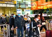 Yêu cầu 3 hãng bay dừng bán vé tết vượt quy định ảnh 2 Ế ẩm vé máy bay tết Dương lịch, vé tết Nguyên đán tăng cao