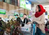 Hàng không mở dịch vụ vận chuyển đào, mai tận nhà ảnh 2 Máy bay chở mai, đào tết: gần nửa triệu đồng/bó