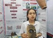 Bộ GD&ĐT sẽ thẩm định lại các đề tài KHKT 'có vấn đề' ảnh 2 Khai mạc cuộc thi khoa học kĩ thuật cấp quốc gia KV phía Nam