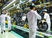 Làm gì khi đi siêu thị bị mất xe trong mùa tết? ảnh 2 Xe máy chuyên dùng có thể bị thu hồi giấy chứng nhận lúc nào?