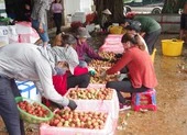 Hàng Việt được đón nhận tại 'Tuần hàng Việt Nam' ở Nhật ảnh 2 Vải thiều Việt Nam bán tại Nhật giá khủng 375.000 đồng/kg