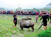 Du khách Việt thích tắm suối nước nóng tự nhiên ảnh 2 Du lịch năm mới: Đà Lạt, Sa Pa được tìm kiếm nhiều nhất