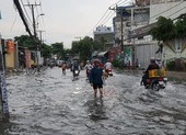 TP Thủ Đức: Đường ngập, giao thông ùn tắc sau mưa ảnh 6 Mưa lớn, đường ngập, cây ngã khắp nơi ở TP.HCM