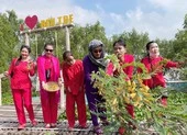 Bến Tre chính thức khởi động du lịch 'vùng xanh xứ dừa' ảnh 4 Bến Tre sẽ đón khách du lịch nội địa từ ngày 15-11