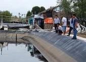 Sắp xử vụ trộm tôm tinh vi, táo bạo ở Cà Mau ảnh 3 Trộm tôm tấn ở Cà Mau: Người nuôi tôm phẫn nộ