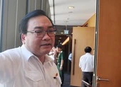 Chủ tịch huyện thua kiện vì ra quyết định xử phạt quá nhanh ảnh 2 Bí thư Hà Nội nói về vụ chặt 1.300 cây xanh để mở đường