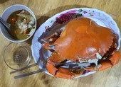 Cà Mau: Nghiêm cấm cán bộ can thiệp, bỏ lỗi vi phạm giao thông ảnh 2 Cà Mau được Tổ chức kỷ lục VN công nhận thêm 4 đặc sản