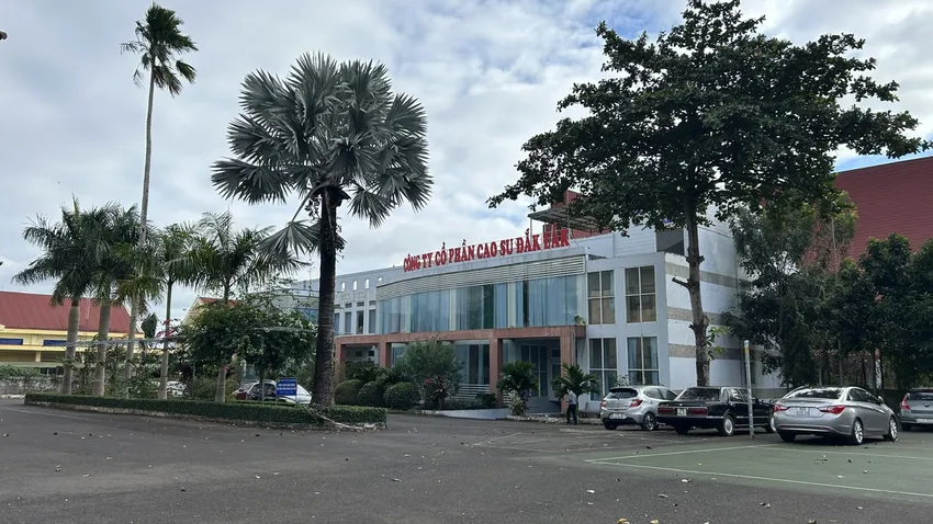 Công ty cổ phần cao su Đắk Lắk. Ảnh: VŨ LONG Công ty cao su Đắk Lắk.jpg