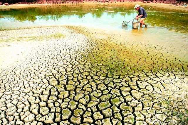 Bộ Tài nguyên và Môi trường cảnh báo lượng nước ngọt về Đồng bằng sông Cửu Long trong mùa khô 2024 thấp hơn trung bình nhiều năm khoảng 8%