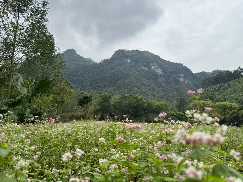 Thung Lũng tình yêu ở huyện Phú Lương, tỉnh Thái Nguyên