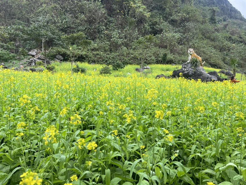 Thung Lũng tình yêu ở huyện Phú Lương, tỉnh Thái Nguyên