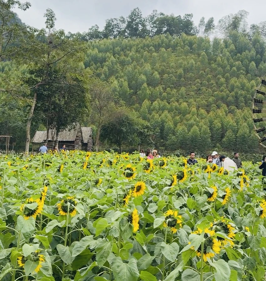 Thung Lũng tình yêu ở huyện Phú Lương, tỉnh Thái Nguyên