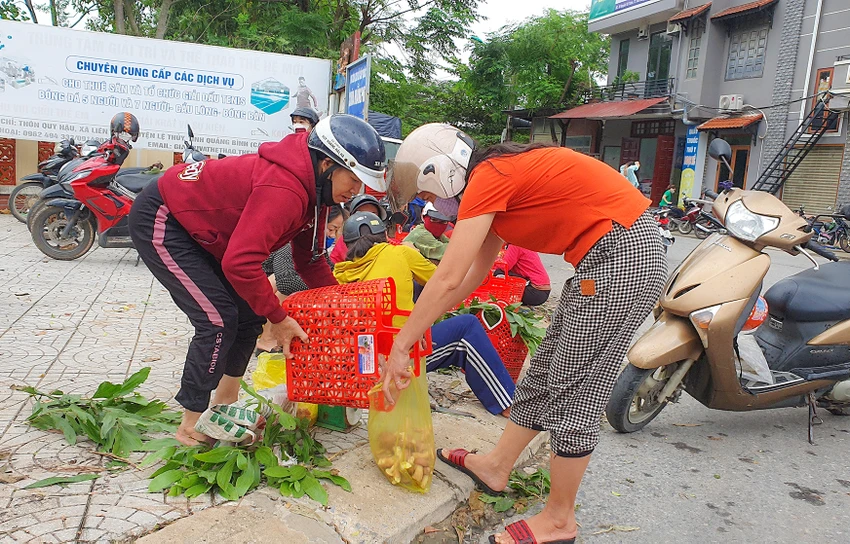 Nấm tràm thường xuất hiện nhiều vào các tháng 4, tháng 7 và tháng 8 âm lịch. Ảnh: B.THIÊN 2.jpg