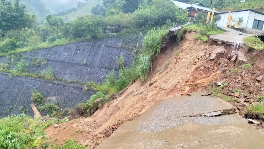 bão số 3
