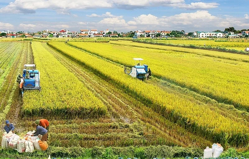 Miễn thuế sử dụng đất nông nghiệp