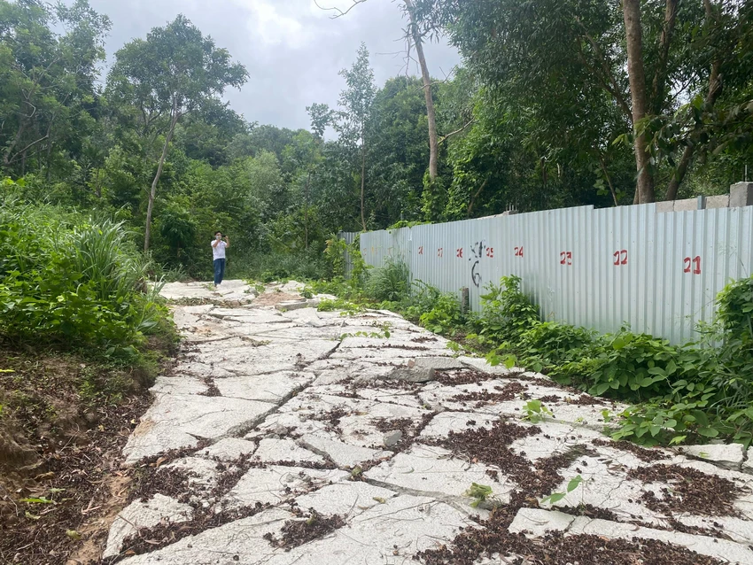 Vụ Công ty Xuân Phúc gặp khó xin làm dự án ở Phú Quốc: Xử nghiêm việc bao chiếm đất rừng ảnh 4