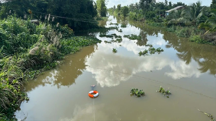 Cá sấu nổi trên sông.jpg