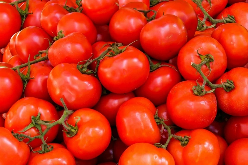 Ăn cà chua hàng ngày giúp hạ huyết áp